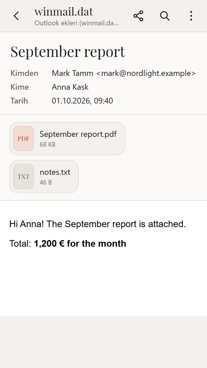 XanderFiles'ta açılmış winmail.dat dosyası